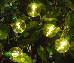 Set Of 25 LED G40 Super Bright Lights -Courtyard Home Furnishings Store 997327 2