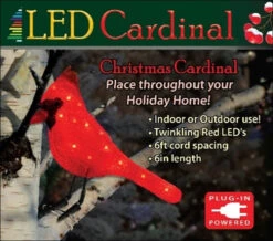 6" LED Cardinal Decoration With Clipped Feet -Courtyard Home Furnishings Store 997482 2