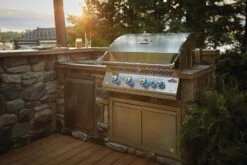 Napoleon Built-In 700 Series 32 RB With Infrared Rear Burner 17 Napoleon Built-In 700 Series 32 RB With Infrared Rear Burner -Courtyard Home Furnishings Store 998090 3 17049234 65d4 4d6f 9584 ecd5c79f64d6