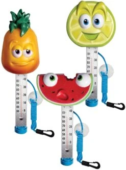 Fruity Floating Water Thermometers