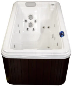 Artesian Spas Azalea Garden Spas Portable Hot Tub