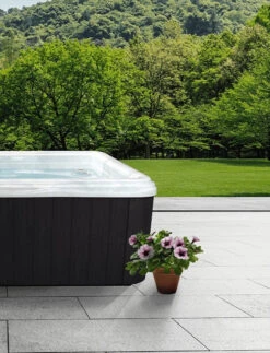 Artesian Spas Camellia Garden Spas Portable Hot Tub -Courtyard Home Furnishings Store Camellia