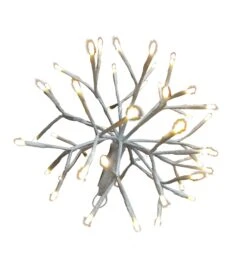 10" Twinkling LED Starburst Clusters -Courtyard Home Furnishings Store LED 3D 10STLCL WWTW