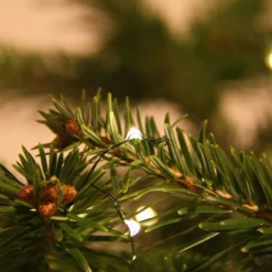 Set Of 100 Battery-Operated Color-Changing Micro LED Lights (Warm White To Multi) -Courtyard Home Furnishings Store MIC GRN 100 WWMU MU 2