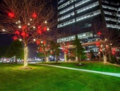 16" Twinkling LED Starburst Clusters 33 16" Twinkling LED Starburst Clusters -Courtyard Home Furnishings Store RED STARLIGHT CLUSTER LIFESTYLE 2