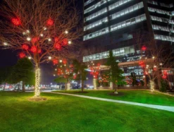 10" Twinkling LED Starburst Clusters -Courtyard Home Furnishings Store RED STARLIGHT CLUSTER LIFESTYLE 2 8936a61a c400 4884 9017 f2d0c37e27a2 scaled