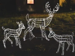 3-Piece Woodland Family LED Wire Sculpture Combo -Courtyard Home Furnishings Store Woodland Combo 2