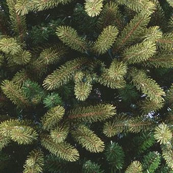 6.5' Majestic Spruce Non-Lit Artificial Christmas Tree 2 6.5' Majestic Spruce Non-Lit Artificial Christmas Tree - Image 2